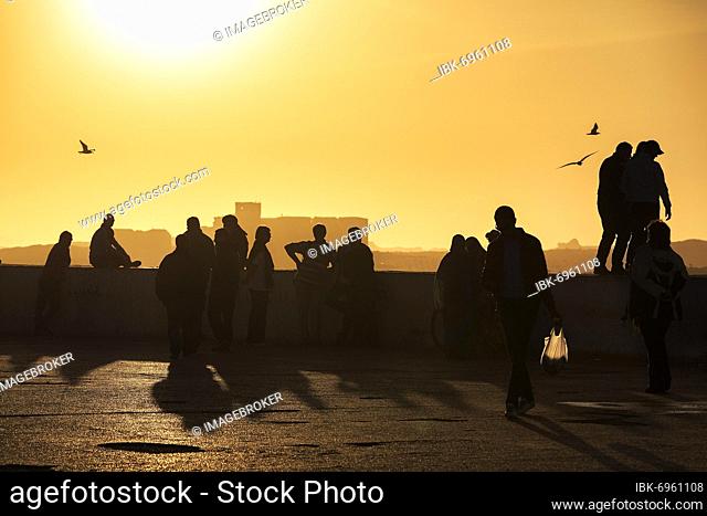 Many people, silhouettes on a wall, enjoying sunset, Essaouira, Atlantic coast, Marrakech-Safi, Morocco, Africa
