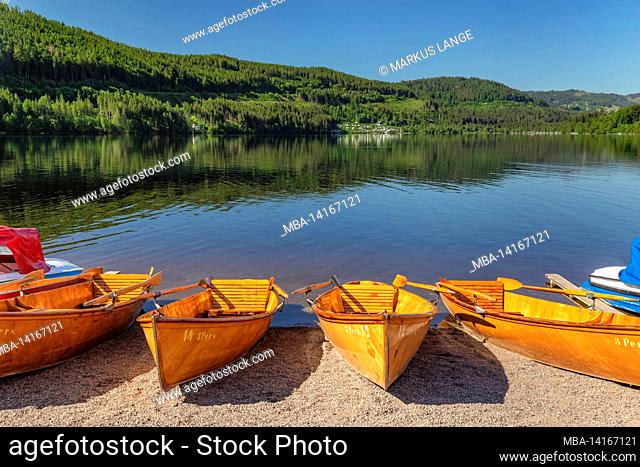 rowing boats on the waterfront, titisee, black forest, baden-württemberg, germany