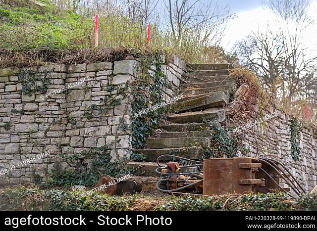 28 March 2023, Saxony-Anhalt, Bad Dürrenberg: Dilapidated dry stone walls are being renovated in the spa park. A year before the start of the State...