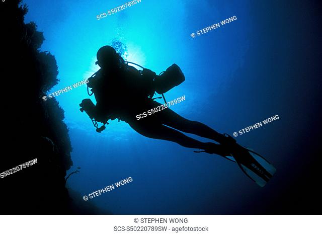 Underwater photographer, diver, silhouetting under sun Gorontalo, Sulaweis, Indonesia rr