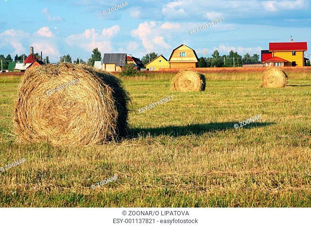 Hay roll in the field in front of village
