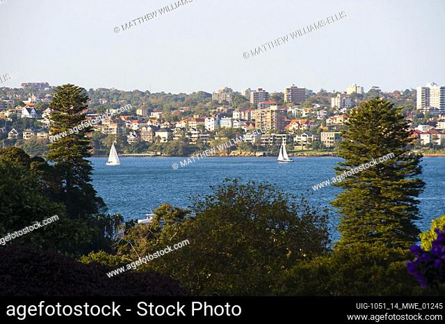 Sailing Boats in Sydney Harbour, Australia