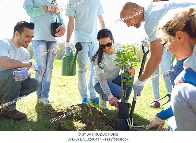 group of volunteers planting tree in park