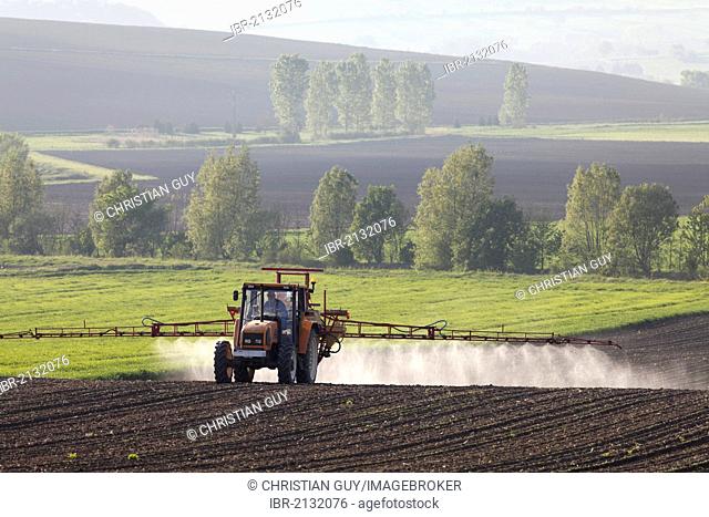 Agricultural chemical treatment on sugar beets, Puy de Dome, France, Europe