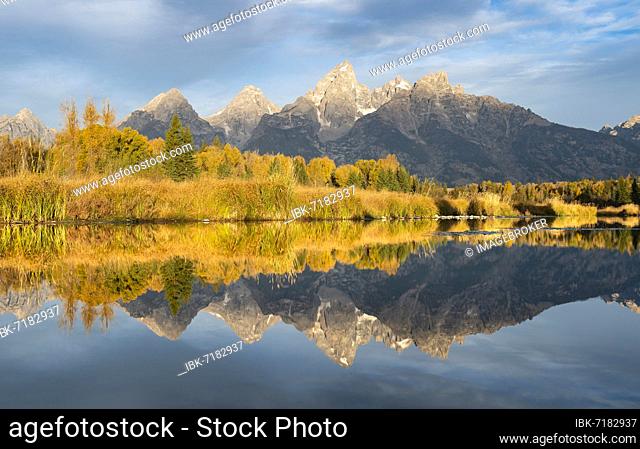 Autumn landscape with Grand Teton Range mountains, in the morning light, reflected in the river, Snake River, Grand Teton National Park, Wyoming, USA