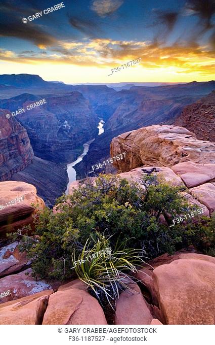 Steep rugged cliffs above the Colorado River at sunset, Toroweap, Grand Canyon National Park, Arizona