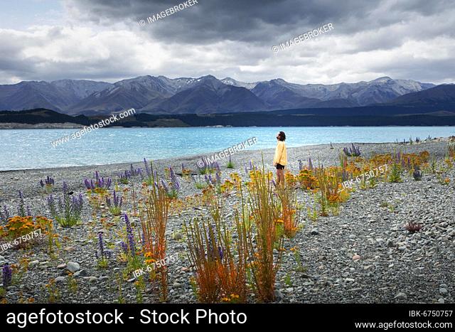 Guy at a beach at Lake Tekapo, Canterbury region, Mackenzie District, South Island, New Zealand, Oceania