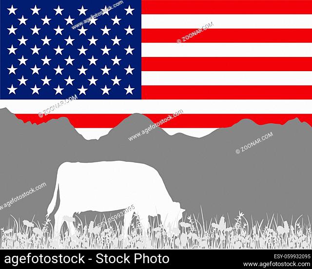 Kuh Alm und USA Fahne - Cow alp and flag of USA