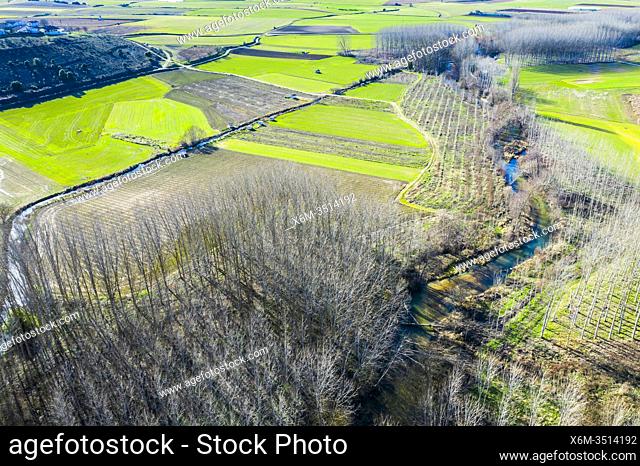 Agricultural area, river and poplar grove. Aerial view. Ancin area. Navarre, Spain, Europe