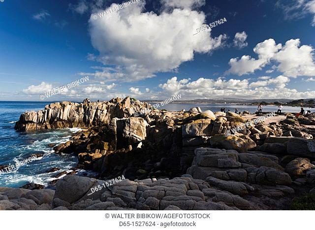 USA, California, Central Coast, Monterey, Monterey Bay Coast, Shoreline Park