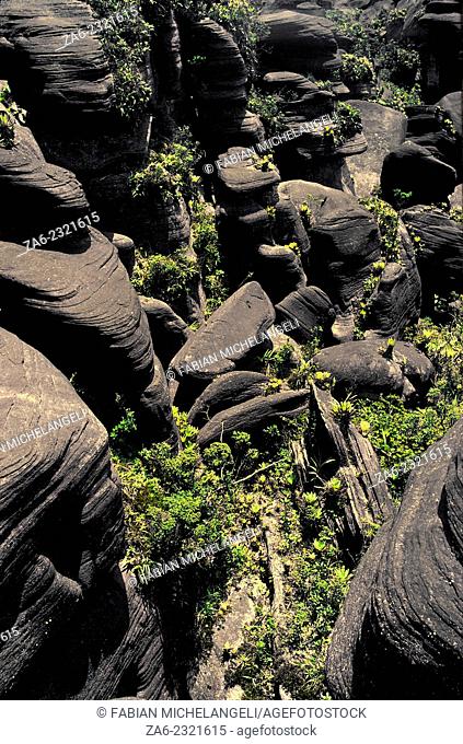 Jagged surface of the summit of Aparaman-tepuy with towers and blocks covered with hanging gardens of endemic plants. Canaima National Park