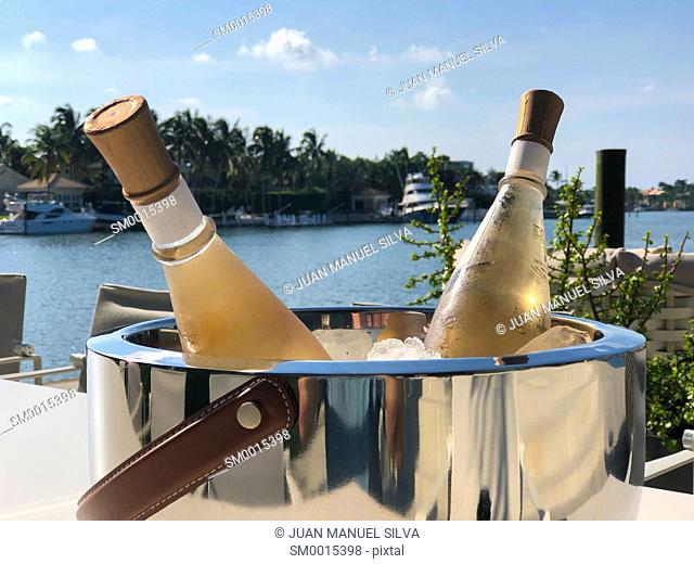 Champagne bottle in ice bucket on table outdoors, Key Biscayne, Florida, USA