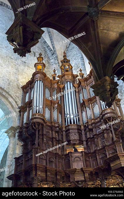 Organ, Notre Dame of Saint Bertrand de Comminges, Cathedral, Saint Bertrand de Comminges, Hautes-Pyrenees department, Occitanie, France
