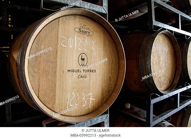 Chile, Valle de Curico, Fairly Trade, wine, Miguel Torres, barrel warehouse, Barrique barrels