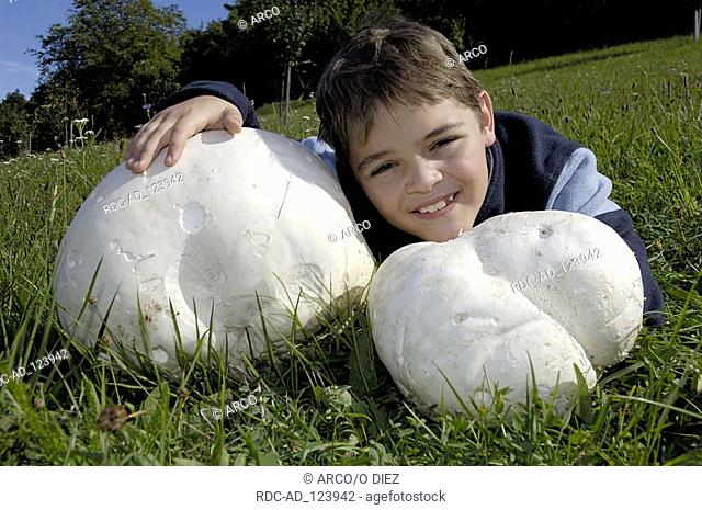 Boy with Giant Puffballs Langermannia gigantea