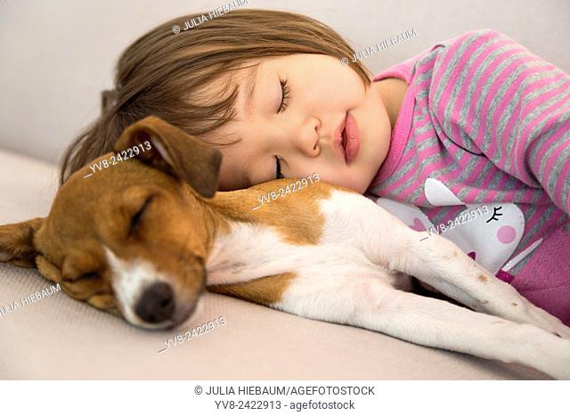 Toddler girl sleeping next to mixed breed puppy dog