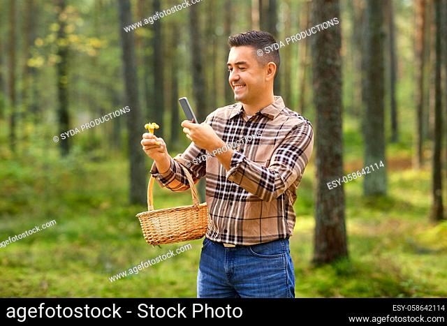 man using smartphone to identify mushroom