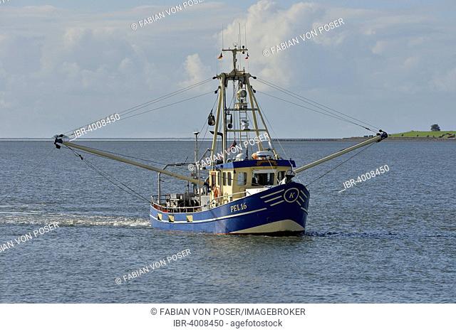 Fishing boat off Pellworm island, North Frisia, Schleswig-Holstein, Germany