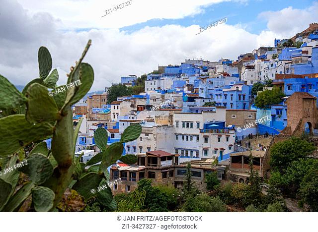 view at Chefchaouen in Maroc