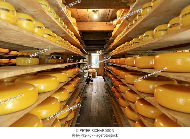 Cheese warehouse, Zuiderzee open air museum, Lake Ijssel, Enkhuizen, North Holland, Netherlands, Europe
