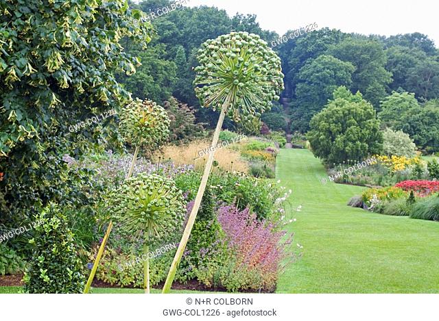 THE LONG BORDERS AT HARLOW CARR GARDEN HARROGATE WITH ALLIUM SEED HEADS IN FOREGROUND