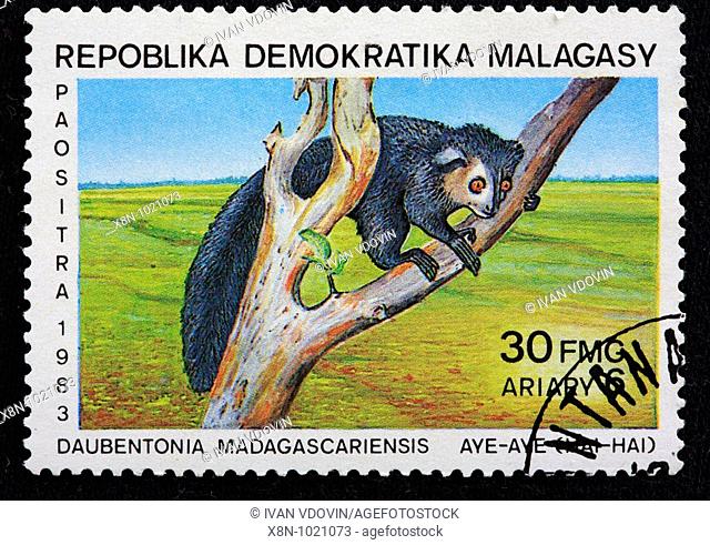 Aye-aye Daubentonia madagascariensis, postage stamp, Madagascar Malagasy republic, 1983