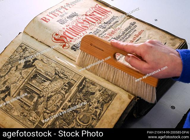 13 April 2021, Berlin: In the paper workshop in Friedrichshagen, a Bible ""The Whole Holy Scripture"" from 1737 is cleaned of dirt with a brush made of pig...