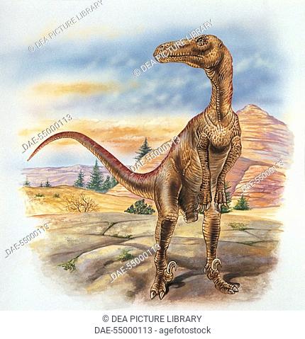 Palaeozoology - Cretaceous Period - Dinosaur - Utahraptor (illustration by Robin Carter)