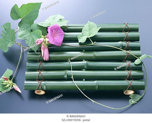 Morning Glory and Bamboo