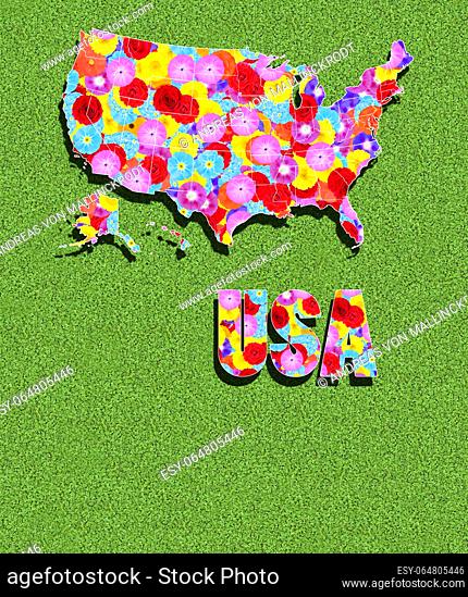 outline and written word of The United States Of America, USA, with colorful flowers on a green meadow, graphic, writing