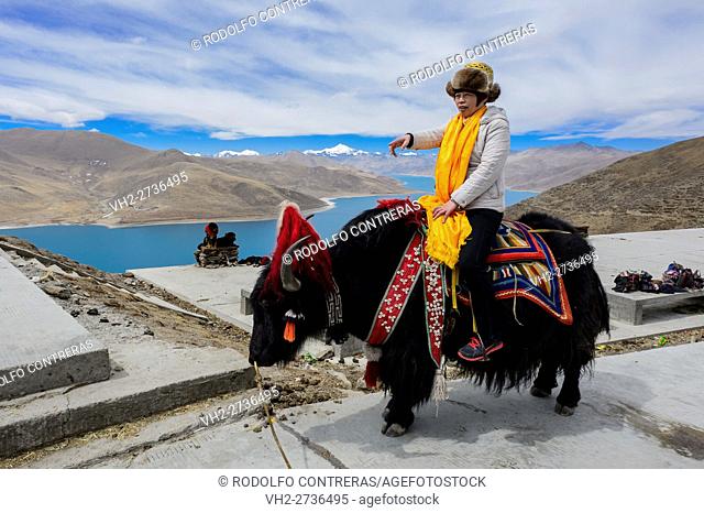 Tourist riding a yak, Tibet
