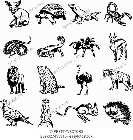 Desert animals vector black doodle outline pictogram icon set, Stock  Vector, Vector And Low Budget Royalty Free Image. Pic. ESY-027455315 |  agefotostock