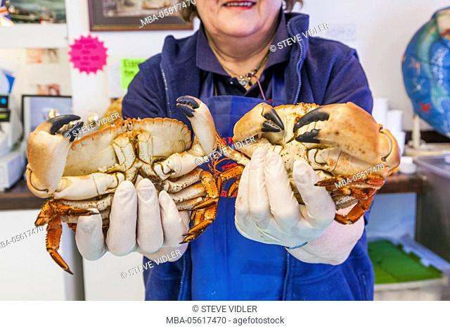 England, Norfolk, Cromer, Fishmonger Holder Cromer Crabs