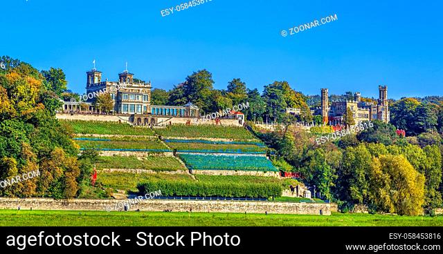 Lingner Palace and Eckberg palace above the Elbe river in Dresden, Saxony, Germany