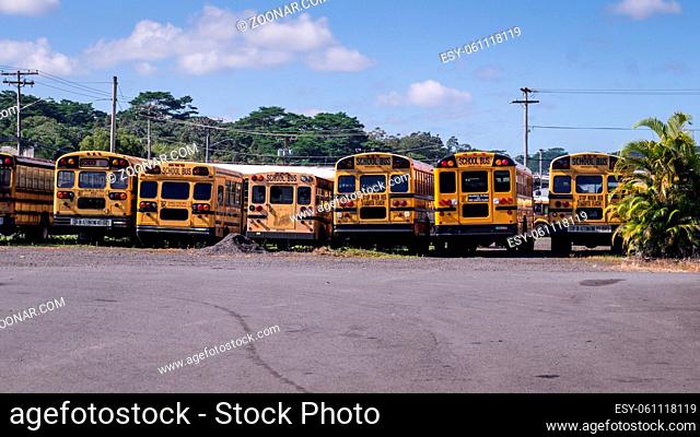 American school buses rear view in a row