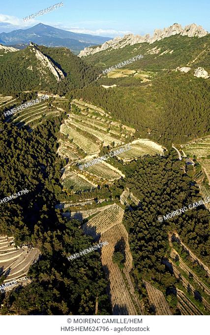 France, Vaucluse, near Gigondas, Ctes du Rhne vineyards, the background Laces of Montmirail and Mont Ventoux aerial view