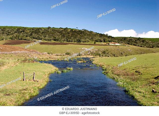 River in the Area of Campos of Top, São José dos Ausentes, Rio Grande do Sul, Brazil