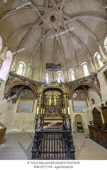capilla de San Salvador, Catedral de la Asunción de la Virgen, Salamanca, comunidad autónoma de Castilla y León, Spain