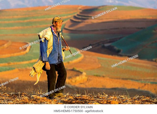 China, Yunnan province, Kunming Municipality, Dongchuan District, Red lands, Guoditang, man smoking, peasant shepherd