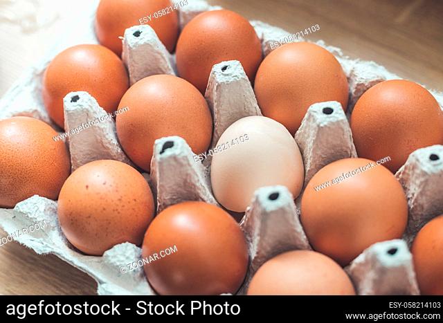 Brown eggs and one white egg in a basket