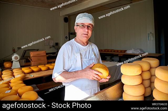 Cheese maker preparing goat and cow cheese wheels during the aging process in local food production factory