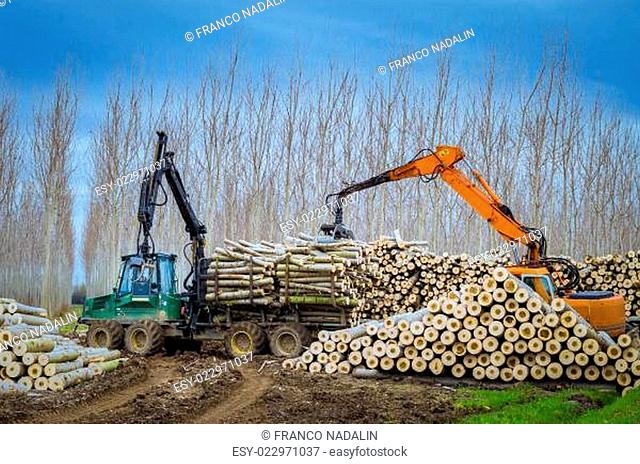 cranes for logs and woodpiles