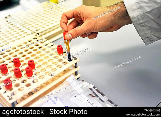 A laboratory technician manipulates a variable volume micropipette and prepares samples for virus analysis in a concentrator tube