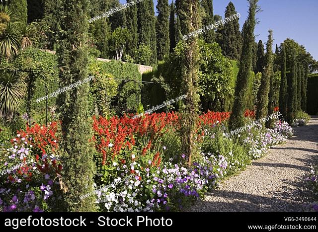 Pebble path next to border with red Lysimachia and Thuja - Cedar trees, topiary in ornamental garden at the Alhambra palace in late summer, Granada, Spain