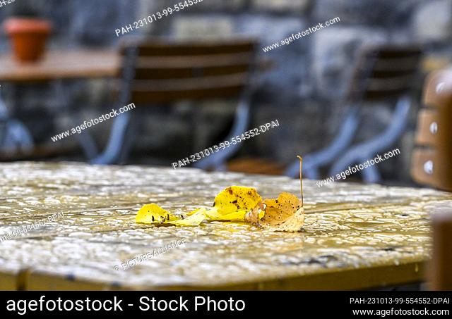 13 October 2023, Berlin: Autumnal leaves lie on the wet tables in the beer garden in Treptower Park, which is now only visited by a few guests