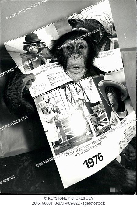 1976 - Noddy and Choppers Calendar for 1976 With the end of the famous Pirelli Calendars and their lovely girls, the famous Twycross Zoo chimps Noddy and...