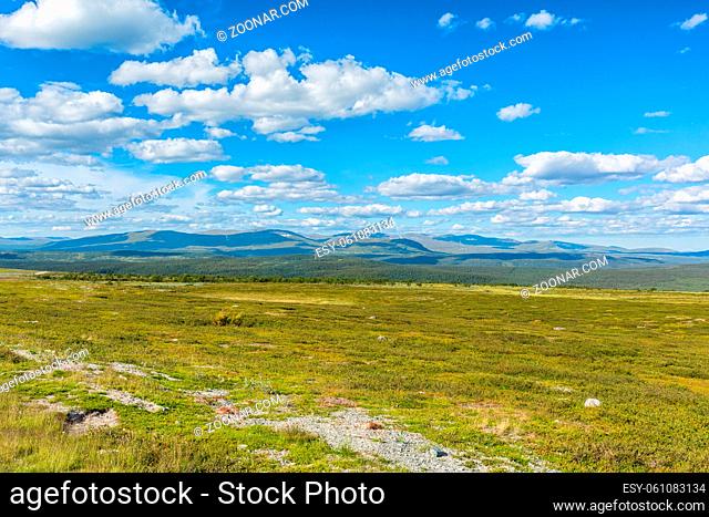 Beautiful tundra landscape view with mountains in the horizon at summer