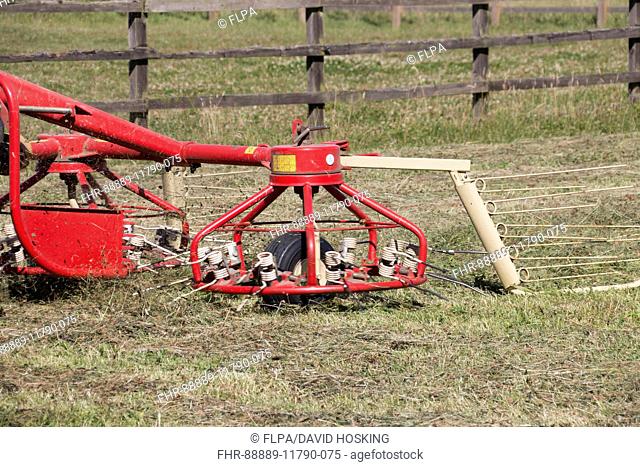 Haymaking, second stage, turning the cut grass using a twin rotor rake