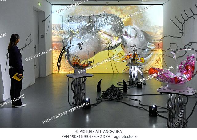 15 August 2019, Berlin: In the exhibition ""Preis der Nationalgalerie 2019"" at Hamburger Bahnhof, works by the artist Katja Novitskova can be seen