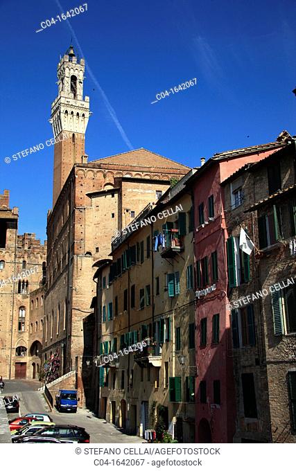 Old town, Siena, Tuscany, Italy